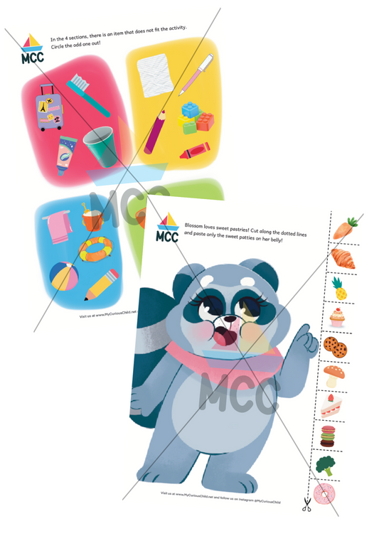 Play and Learn Extension Printable Pack - Classification, Sorting and Patterns