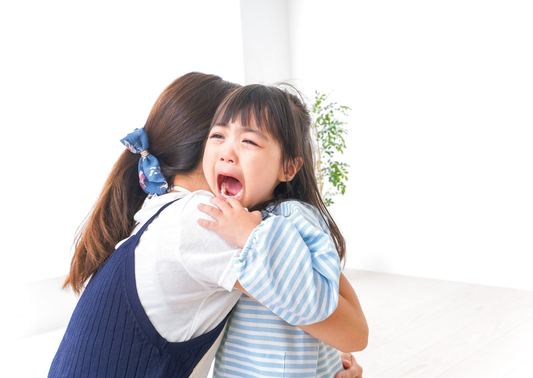 Teaching Emotional Regulation as Imperfect Parents