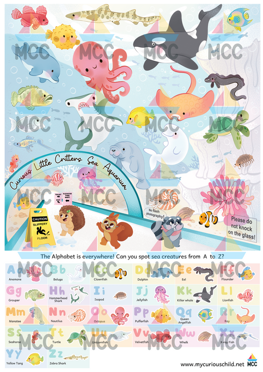 Search & Find A3 Digital Poster Set: 1-10, A-Z (3-6yo)