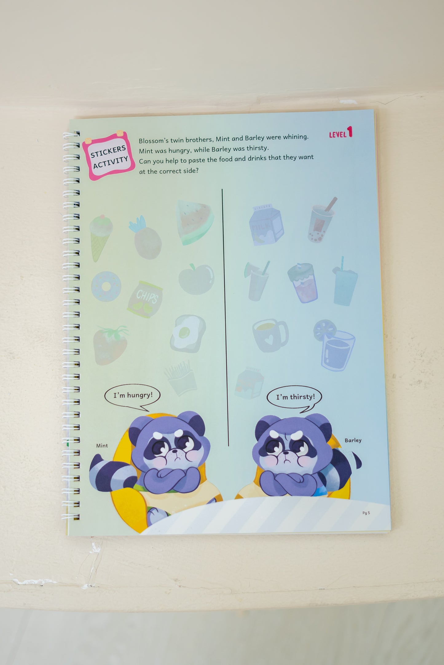 Classification and Sorting - Play & Learn Activity Book (3-7yo)